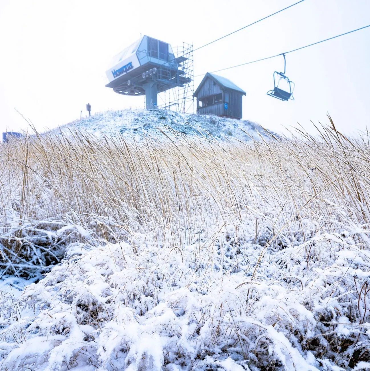day trip to Mt Buller